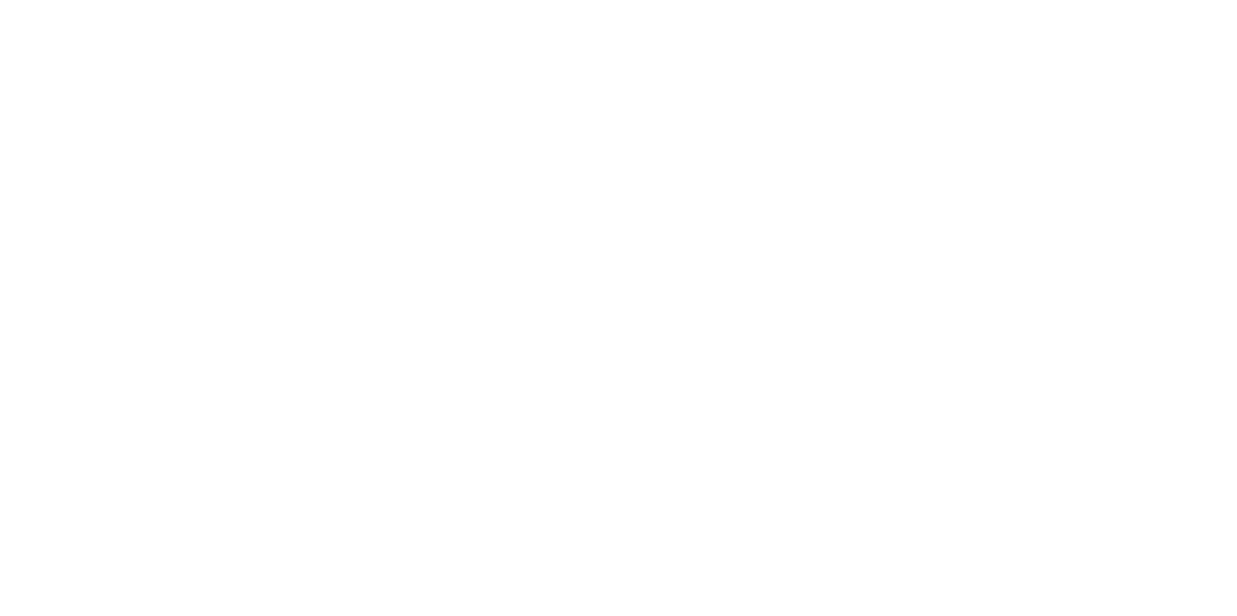 Janicek Performance Group logo